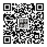  袜子批发 
