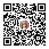 创业了没的二维码图片
