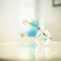 QQ小清新头像