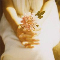 女生抱花头像