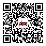 莫蕾蔻蕾官方旗舰店的二维码图片