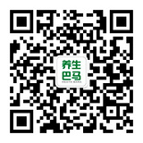 养生巴马的二维码图片